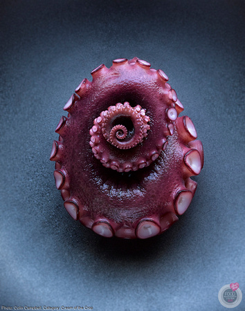 colin_campbell_octopus_tentacle